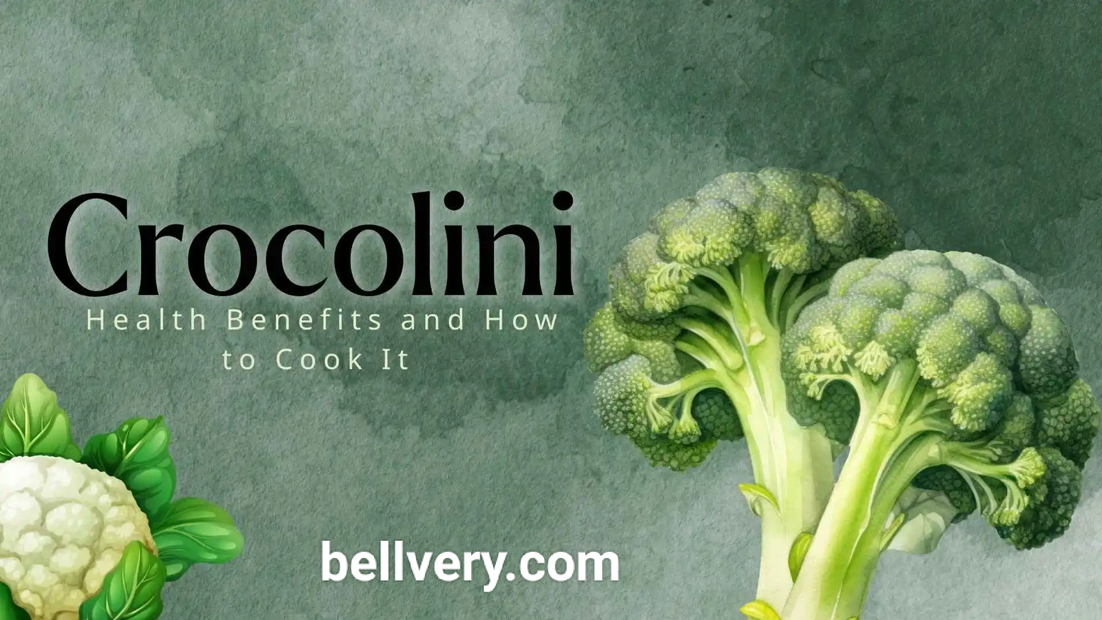 crocolini